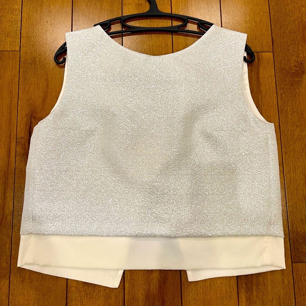 Maje NWT size 3 (L) metallic crop top.  Feel free to make an offer.